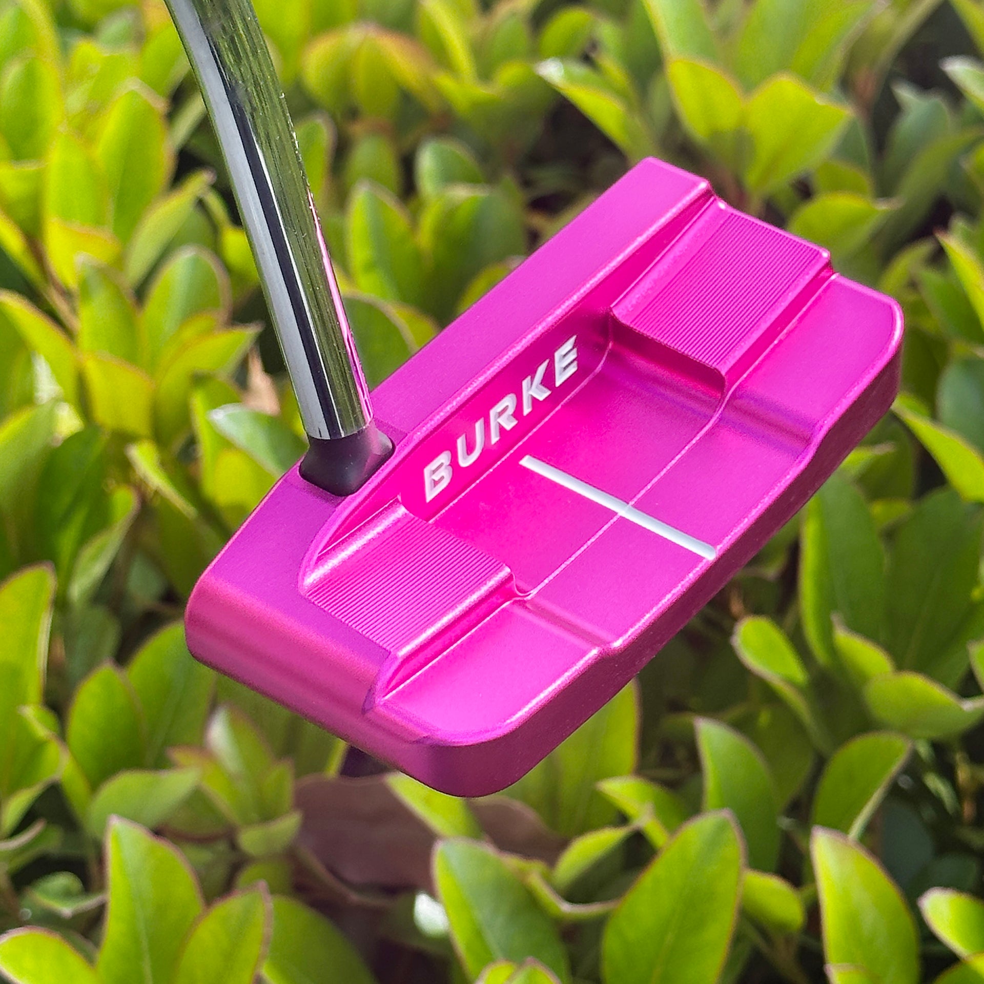 AI+77 pink Putter