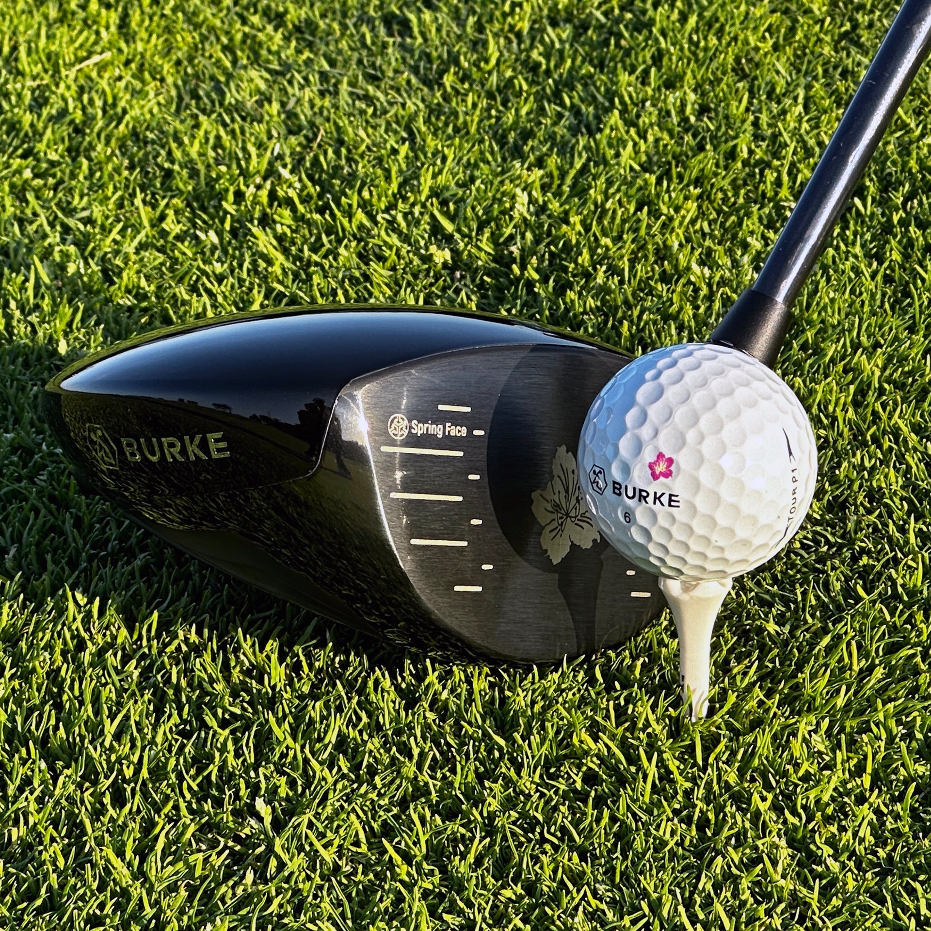 Burke Golf Azalea Driver Product real shot pictures