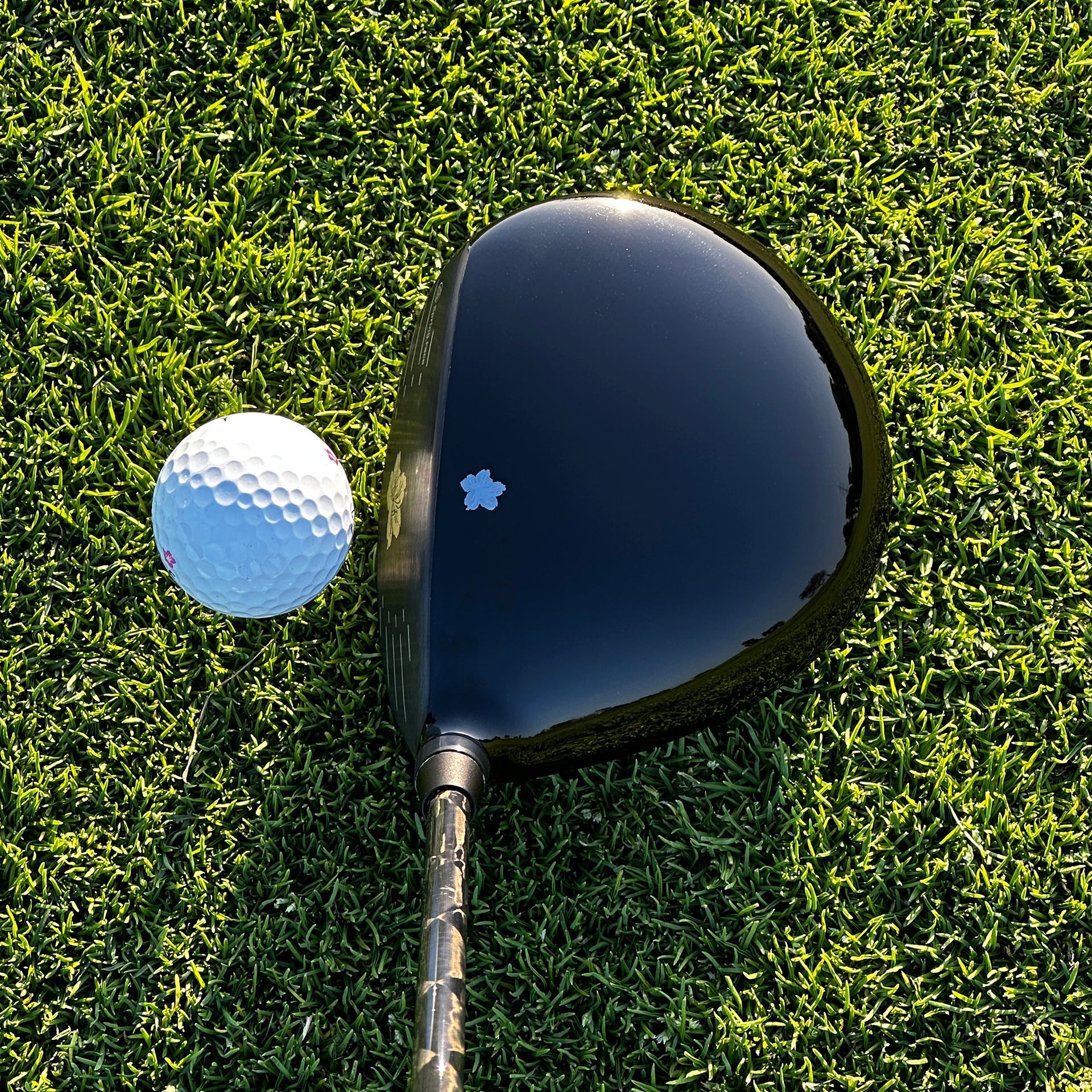 Burke Golf Azalea Driver Product real shot pictures