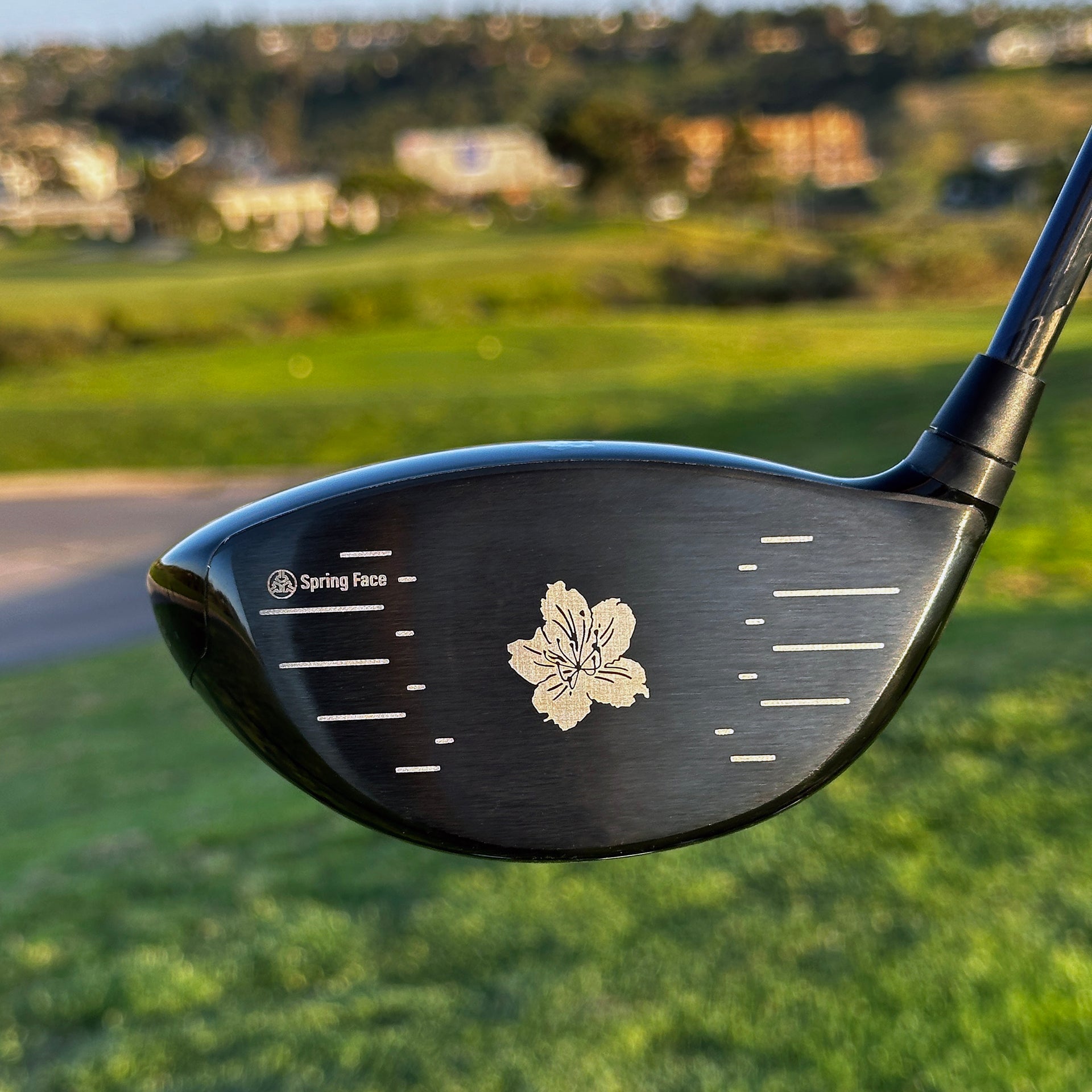 Burke Golf Azalea Driver Product real shot pictures