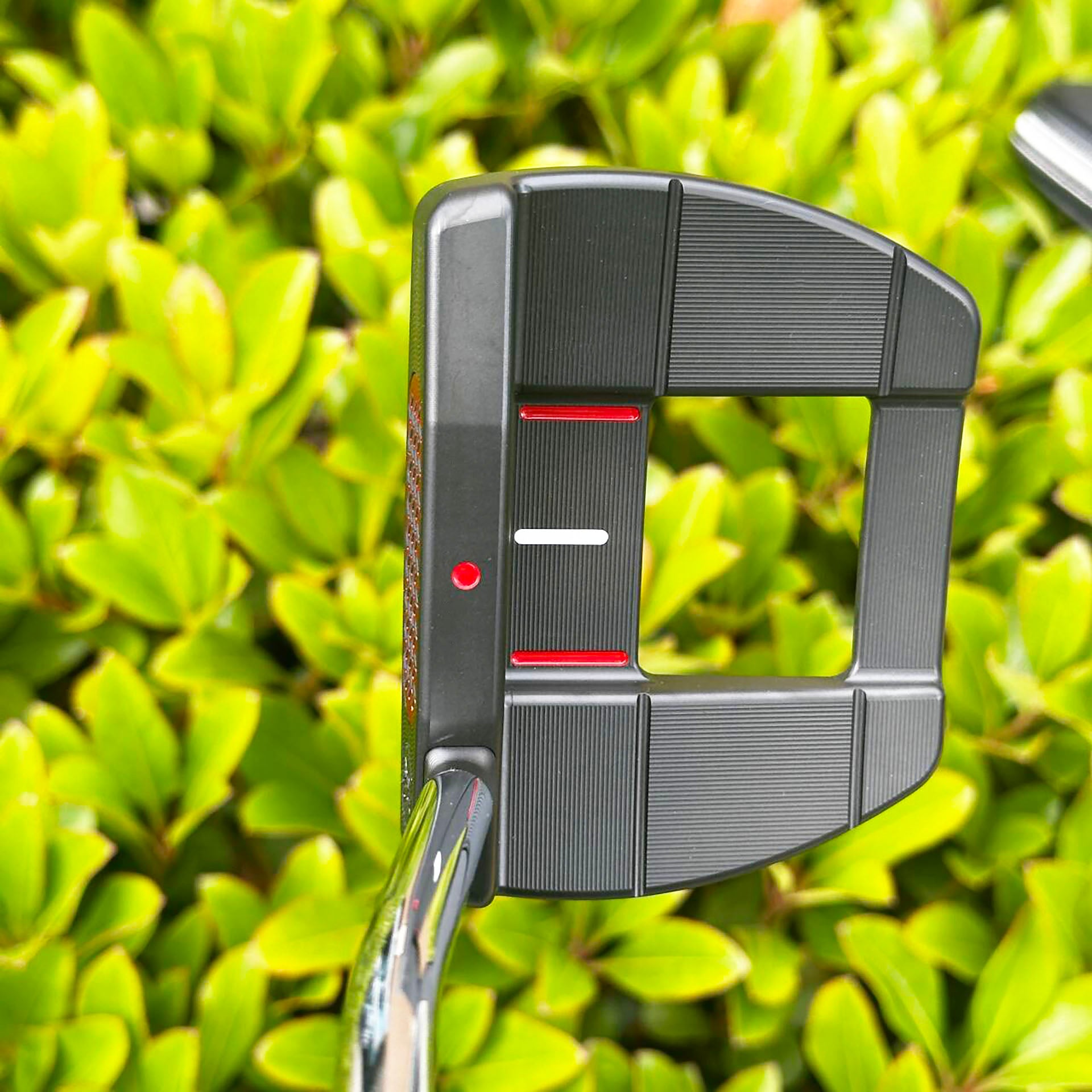 black-3D Gecko D72 Putter Flat Neck